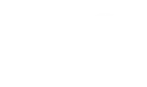 Logo da SICAV 75 Anos
