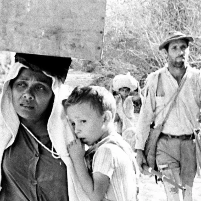 Curso Revisitando o Cinema Novo