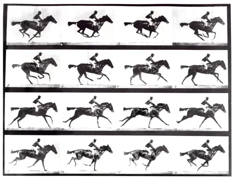 Eadward MuyBridge