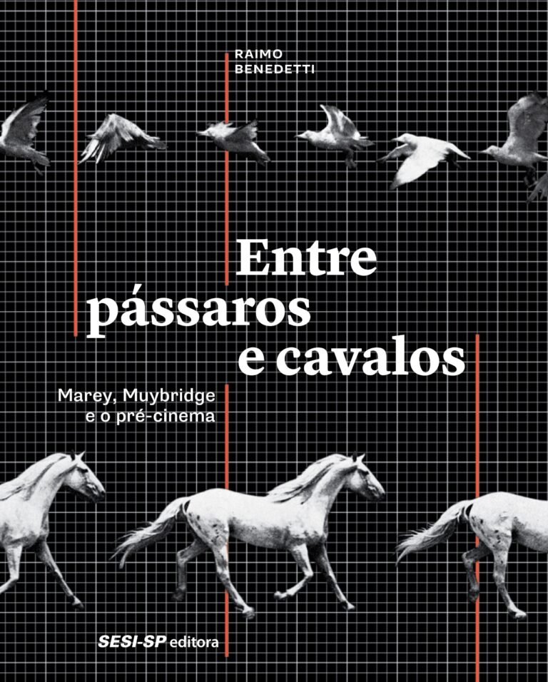 Entre pássaros e cavalos